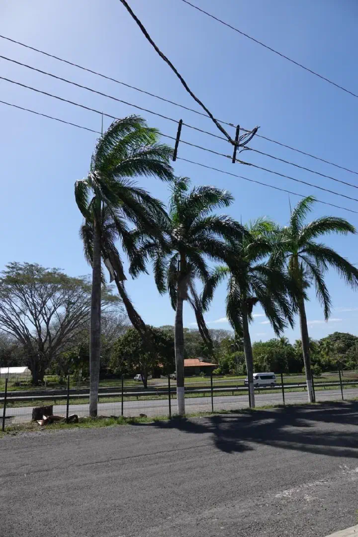 Puntarenas, Costa Rica - Photo 19