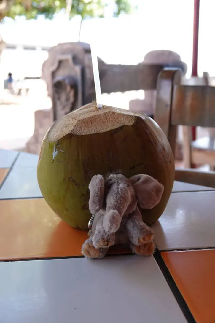 Puntarenas, Costa Rica - Photo 20