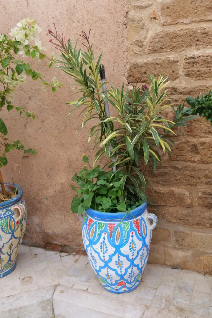 Rabat, Marokko - Photo 21