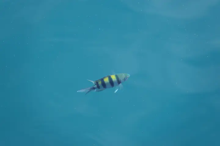 Rabaul, Papua-Neuguinea - Photo 1