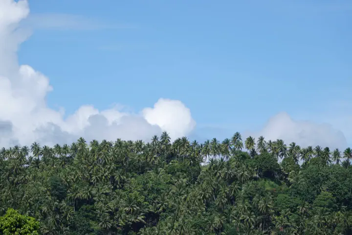 Rabaul, Papua-Neuguinea - Photo 3