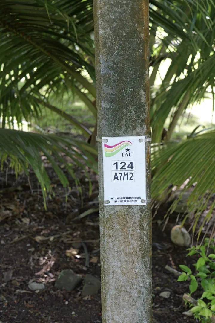 Rarotonga, Cookinseln - Photo 4