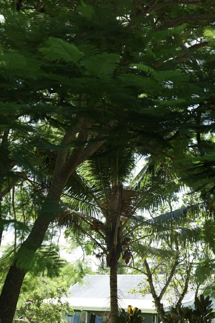 Rarotonga, Cookinseln - Photo 8