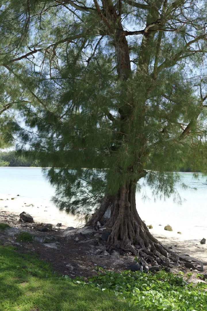 Rarotonga, Cookinseln - Photo 17