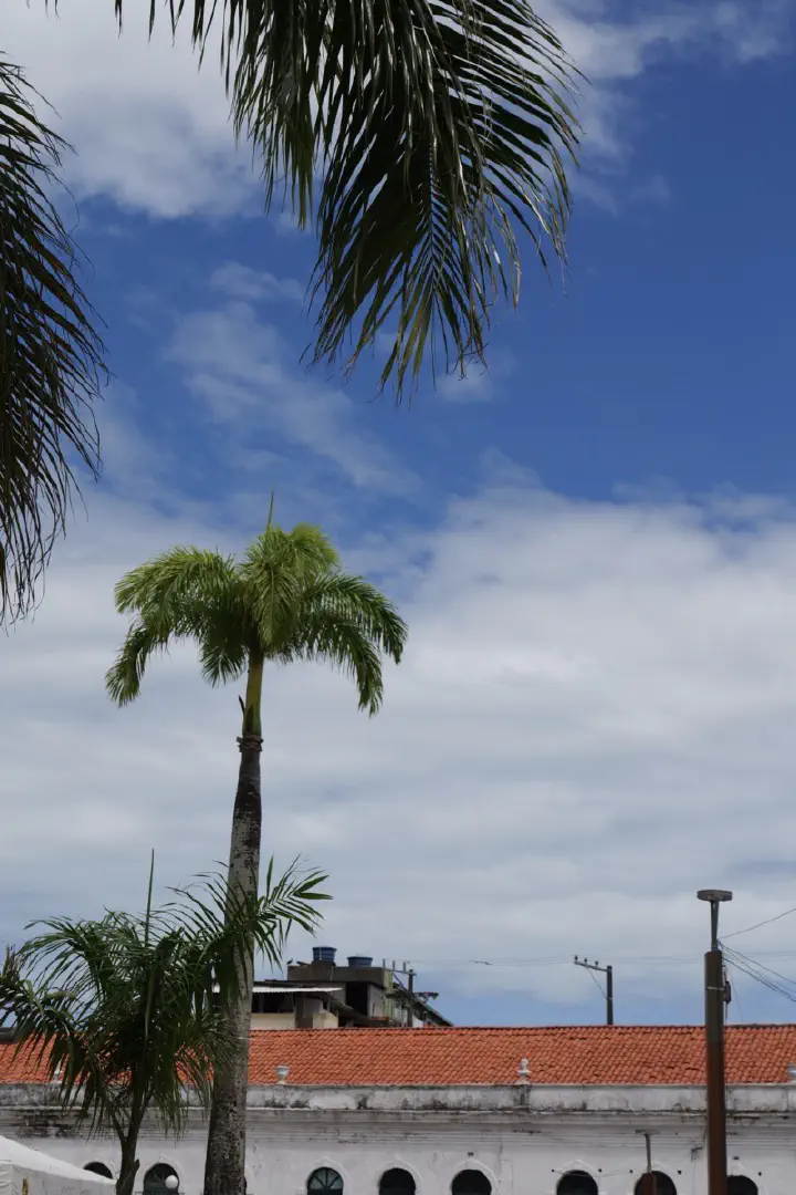 Salvador, Brasilien - Photo 10