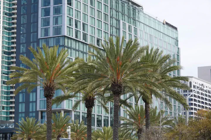 San Diego, USA - Photo 3