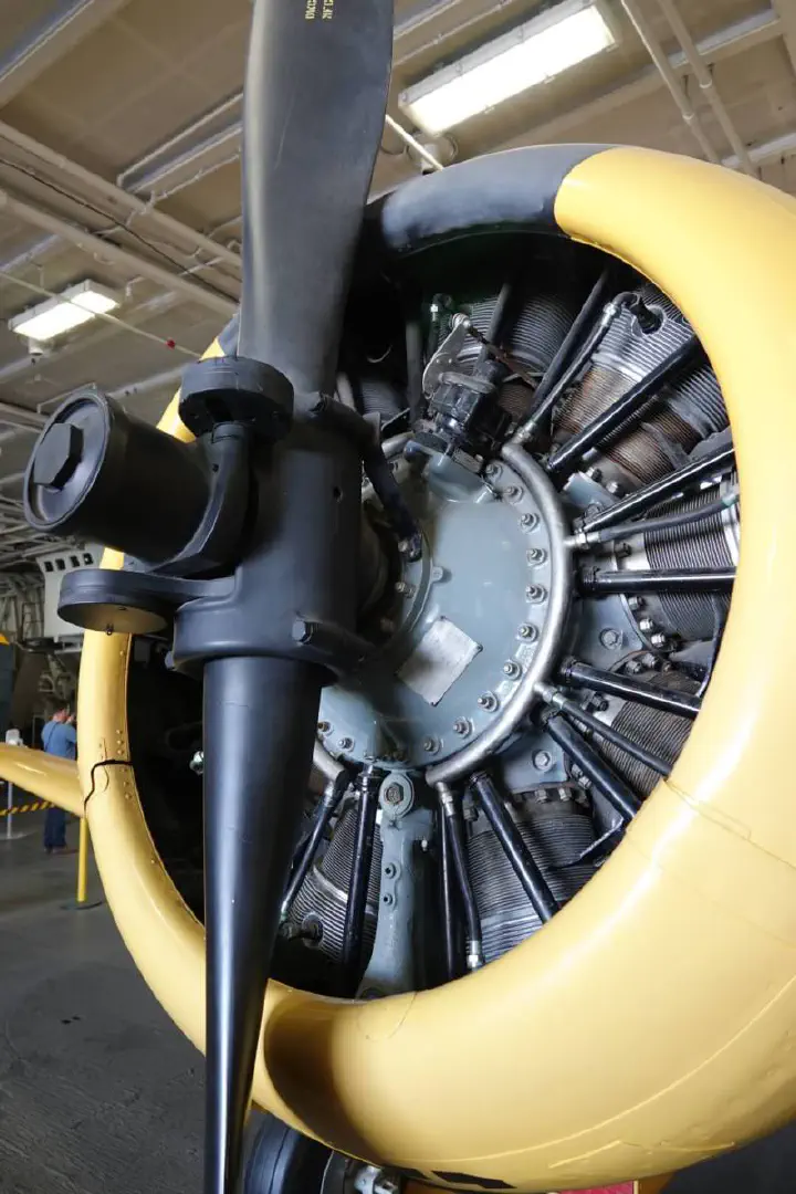 San Diego, USA - Photo 31