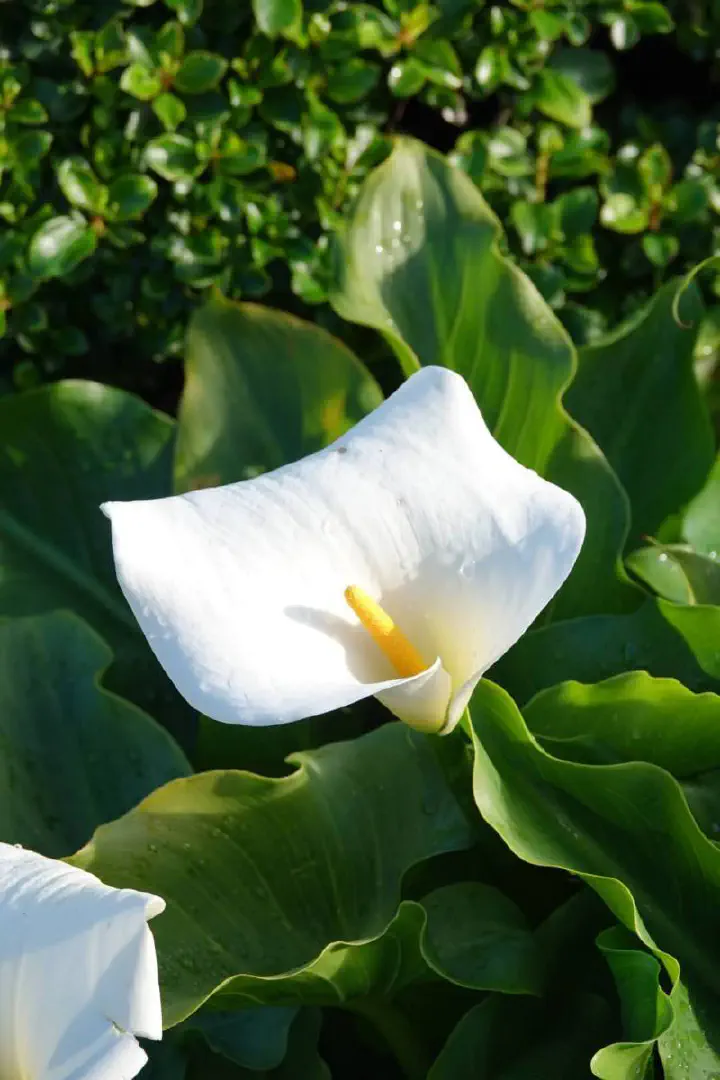 San Francisco, USA - Photo 10