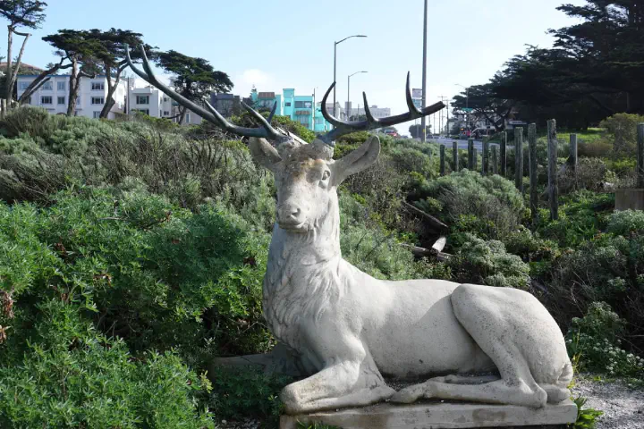 San Francisco, USA - Photo 16