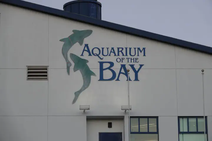 San Francisco, USA - Photo 29