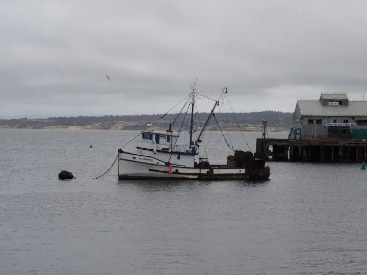 San Francisco, USA - Photo 16