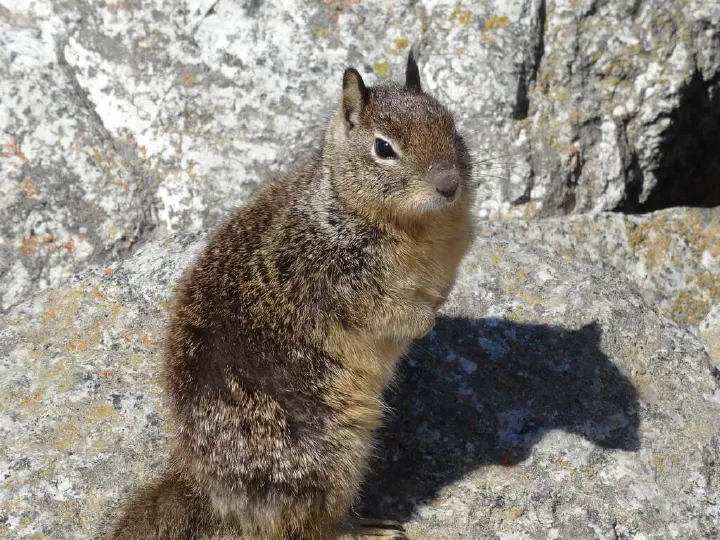 San Francisco, USA - Photo 24