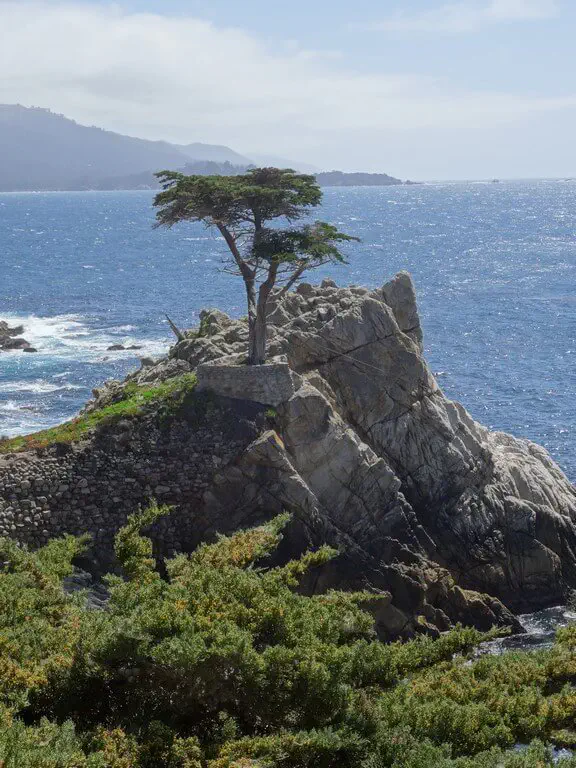 San Francisco, USA - Photo 28