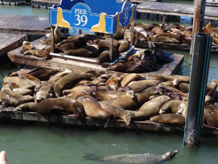 San Francisco, USA - Photo 22