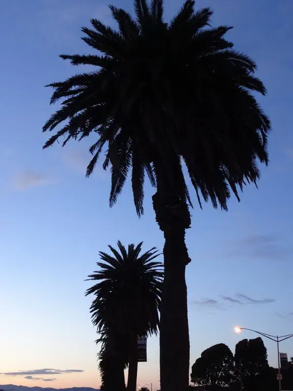 San Francisco, USA - Photo 72