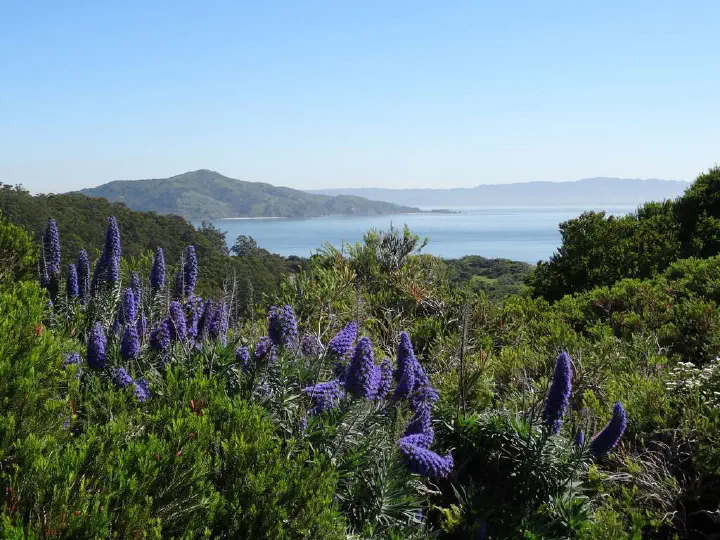 San Francisco, USA - Photo 9