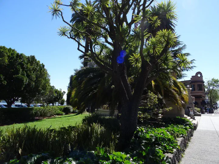 San Francisco, USA - Photo 18