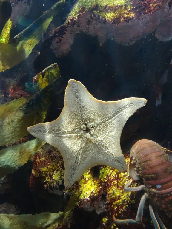 San Francisco, USA - Photo 25