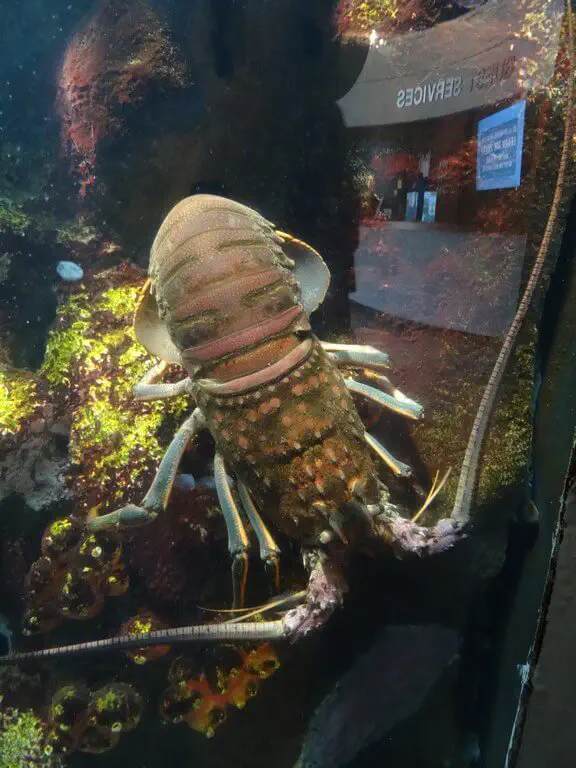 San Francisco, USA - Photo 26