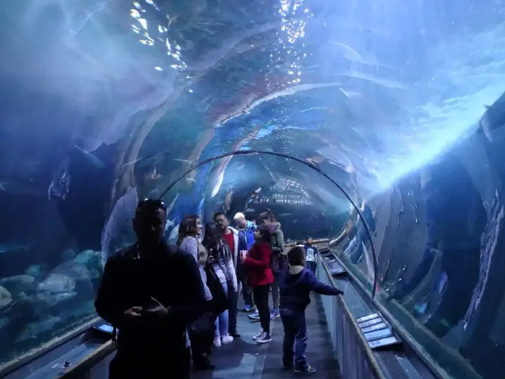 San Francisco, USA - Photo 27