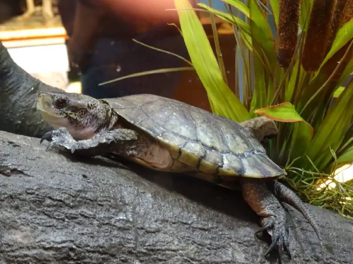 San Francisco, USA - Photo 28