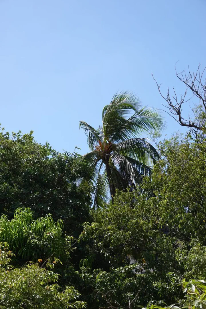 Santa Marta, Kolumbien - Photo 10