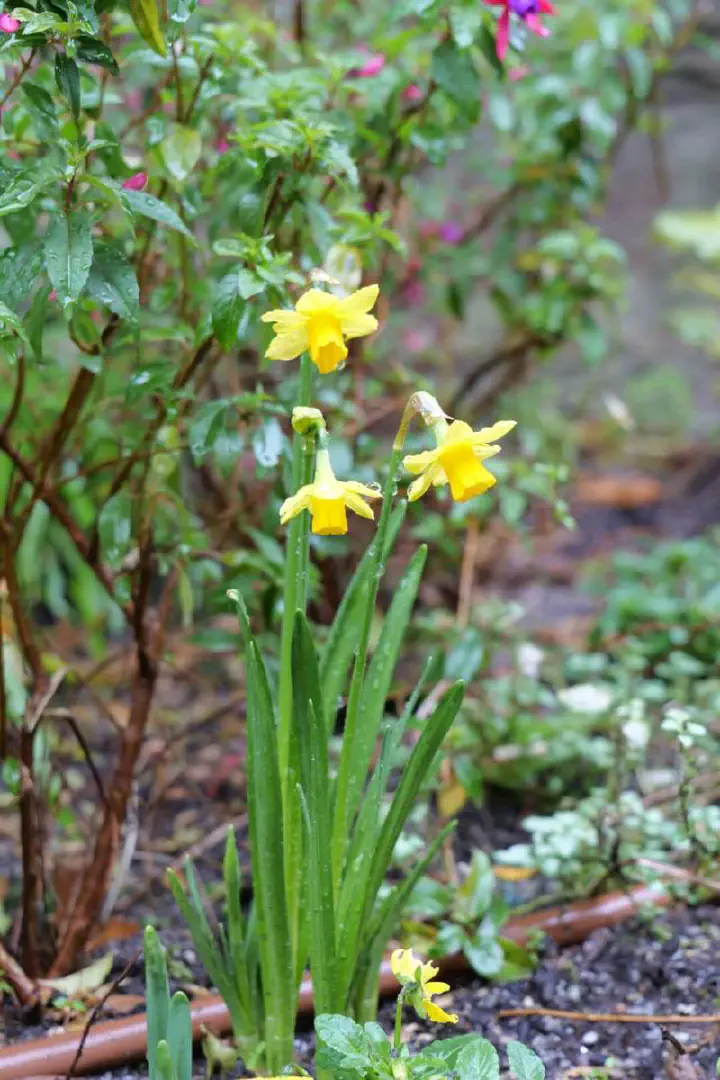 Santiago de Compostela, Spanien - Photo 10