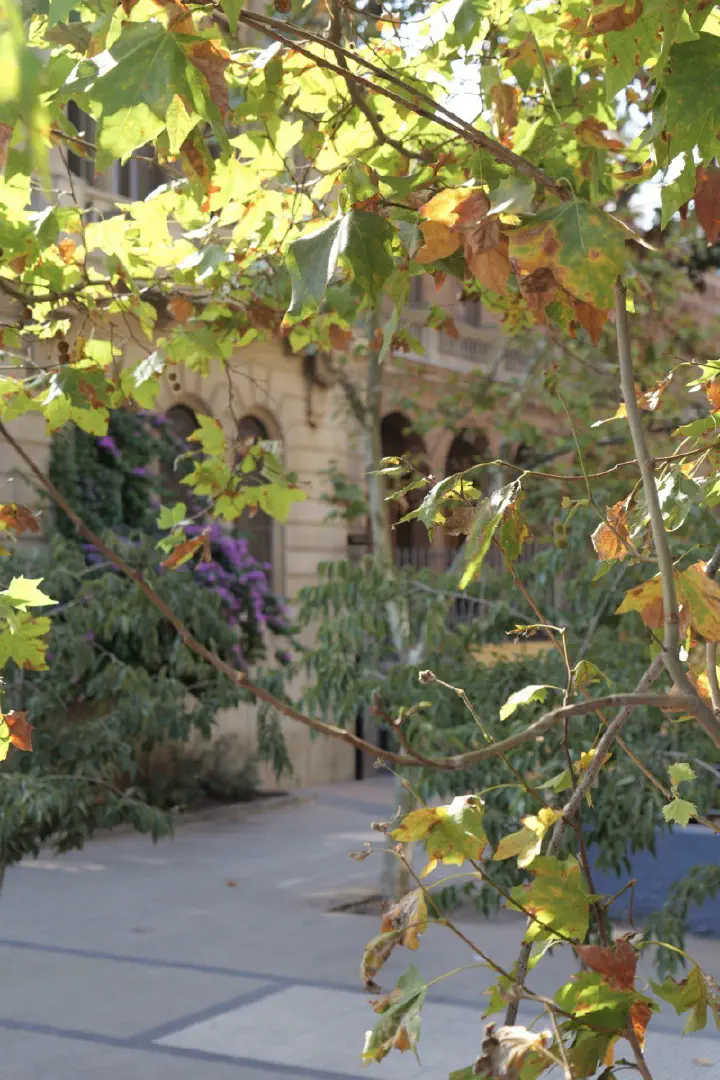 Santiago, Chile - Photo 18