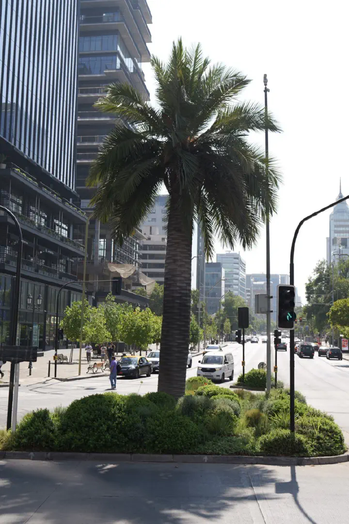 Santiago, Chile - Photo 30