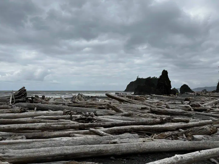 Seattle, USA - Photo 21