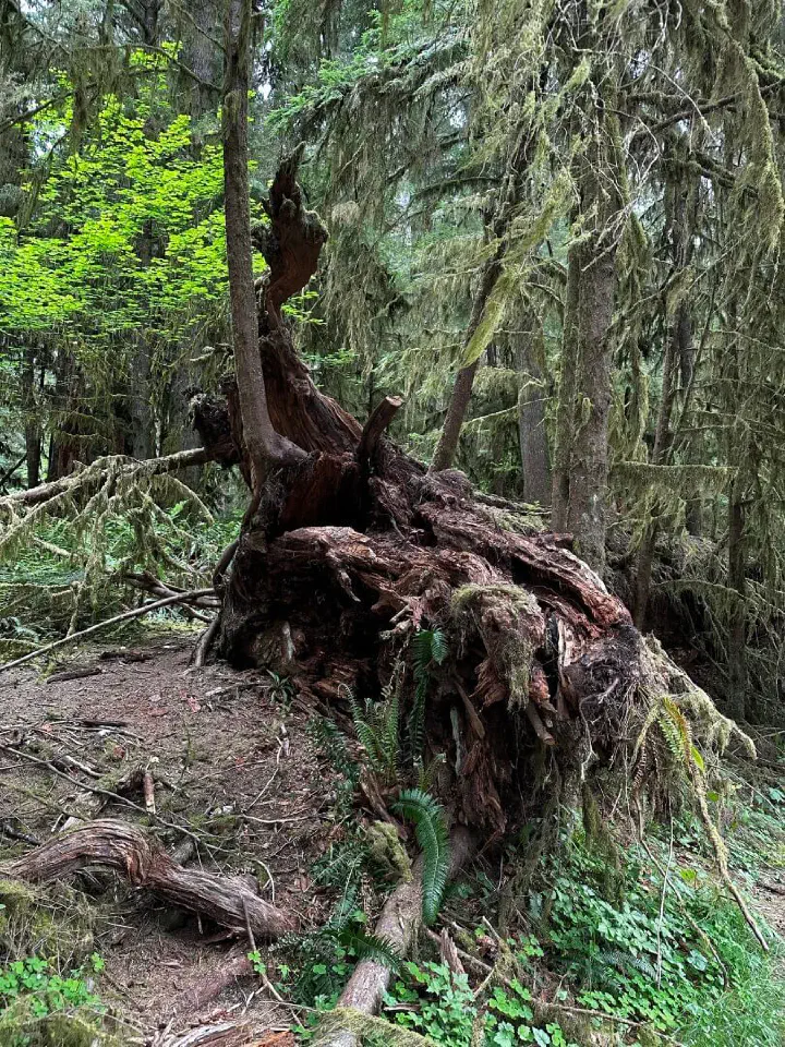 Seattle, USA - Photo 24