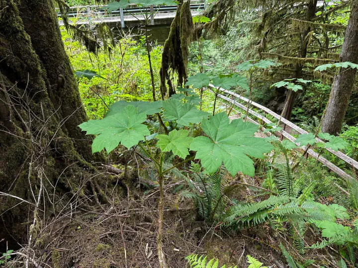 Seattle, USA - Photo 25