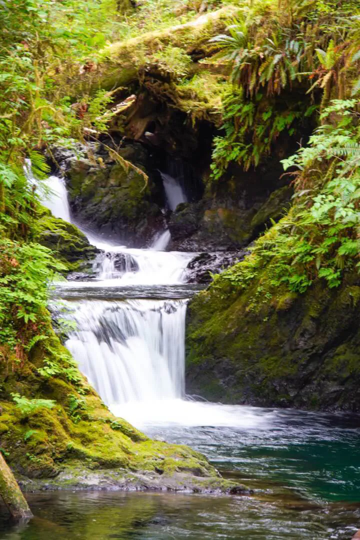 Seattle, USA - Photo 26