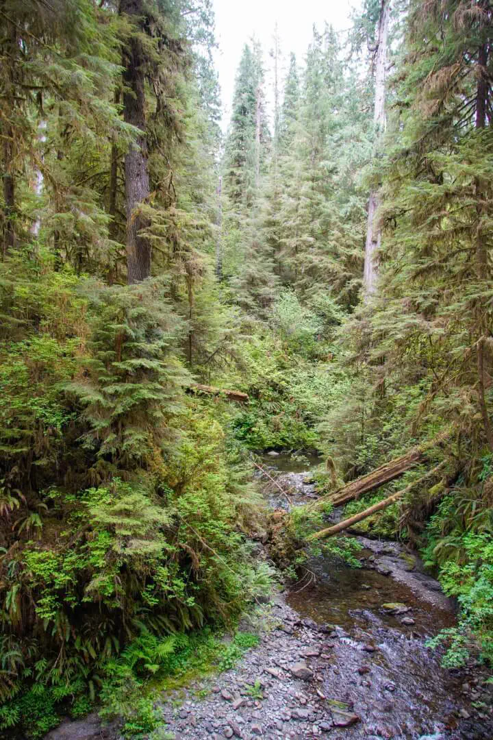 Seattle, USA - Photo 27