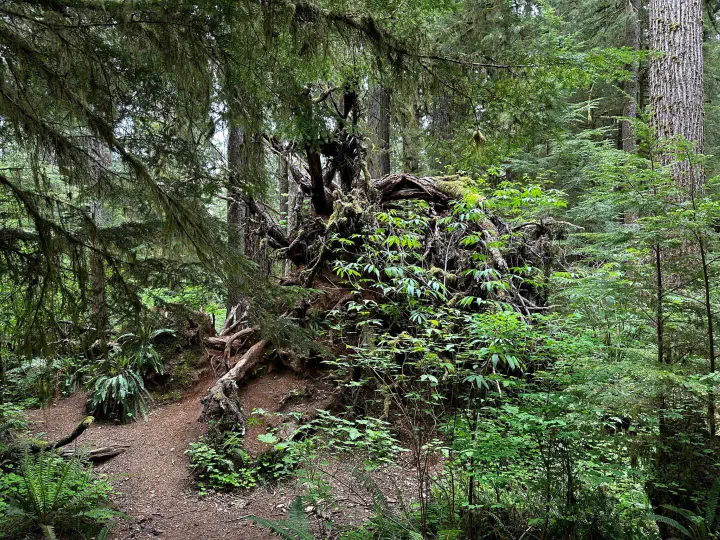 Seattle, USA - Photo 28