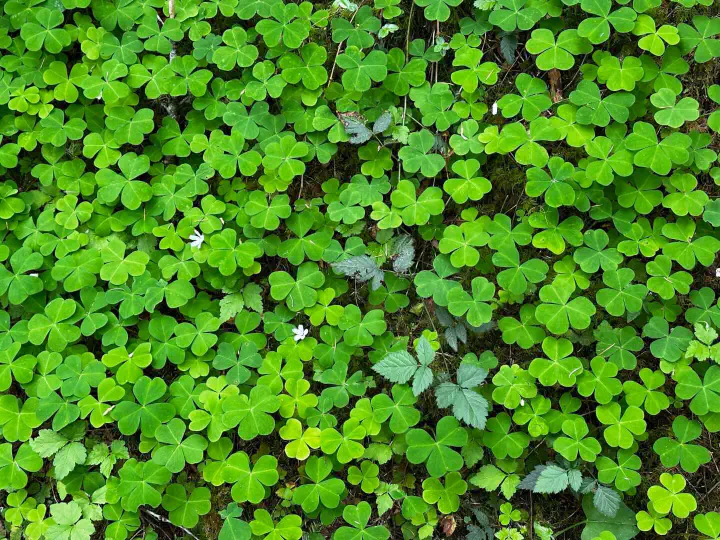 Seattle, USA - Photo 29