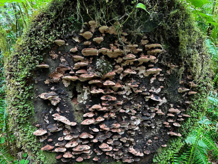 Seattle, USA - Photo 30