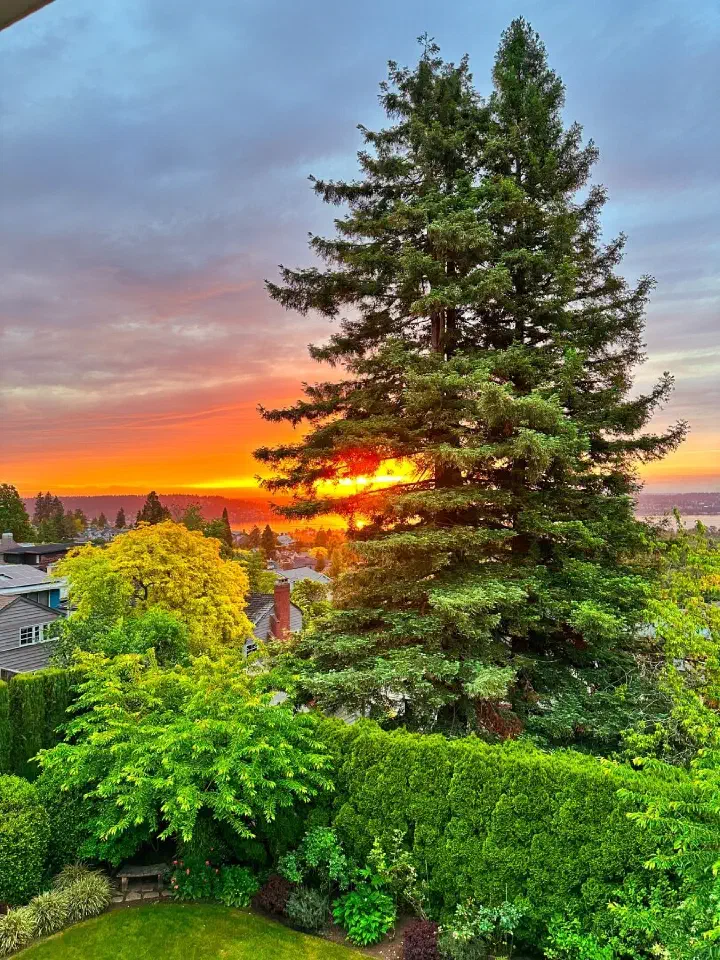 Seattle, USA - Photo 2
