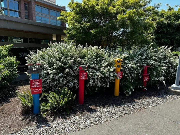 Seattle, USA - Photo 11