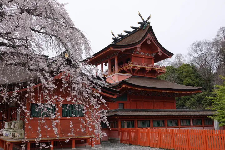 Shimizu, Japan - Photo 7