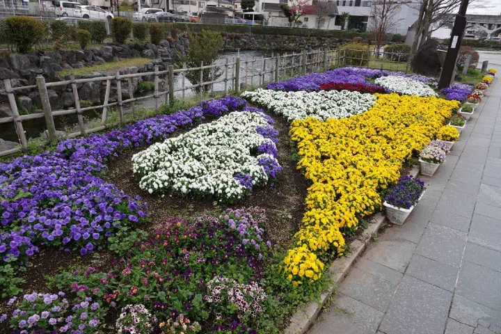 Shimizu, Japan - Photo 14