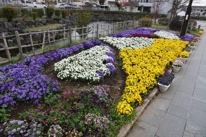 Shimizu, Japan - Photo 14