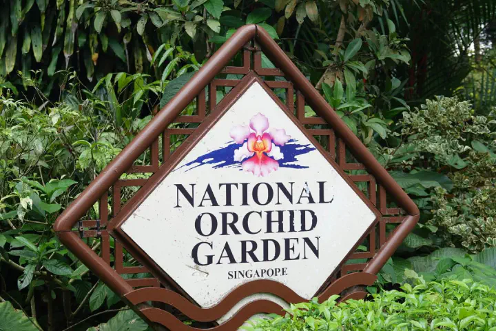 Singapur, Singapur - Photo 3