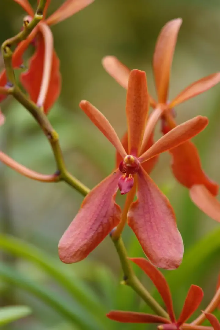 Singapur, Singapur - Photo 7