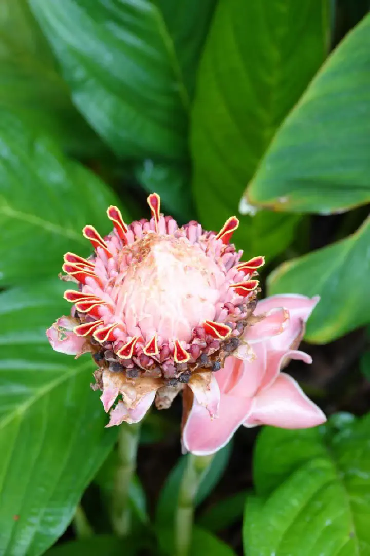 Singapur, Singapur - Photo 9