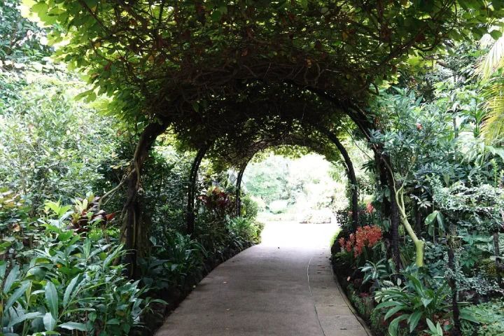 Singapur, Singapur - Photo 10