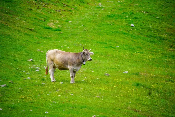 Sölden, Österreich - Photo 7