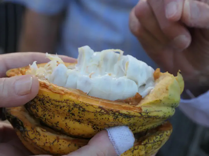 St. George's, Grenada - Photo 9