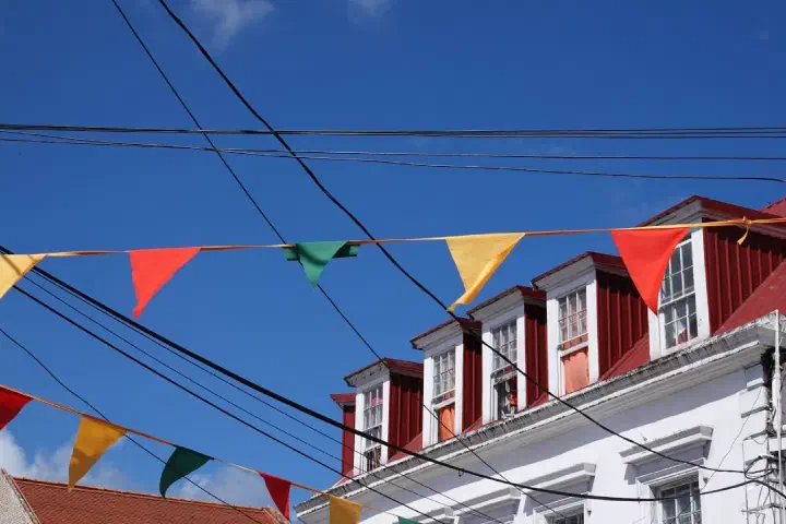 St. George's, Grenada - Photo 22