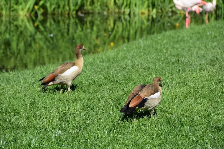 Stuttgart, Deutschland - Photo 1